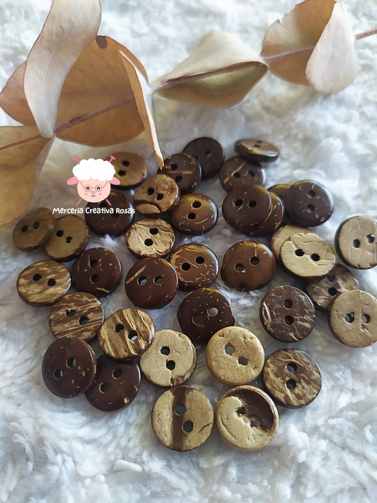 Boton coco T18